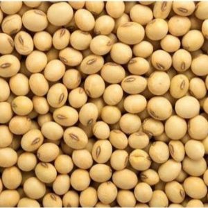 Soya Bean