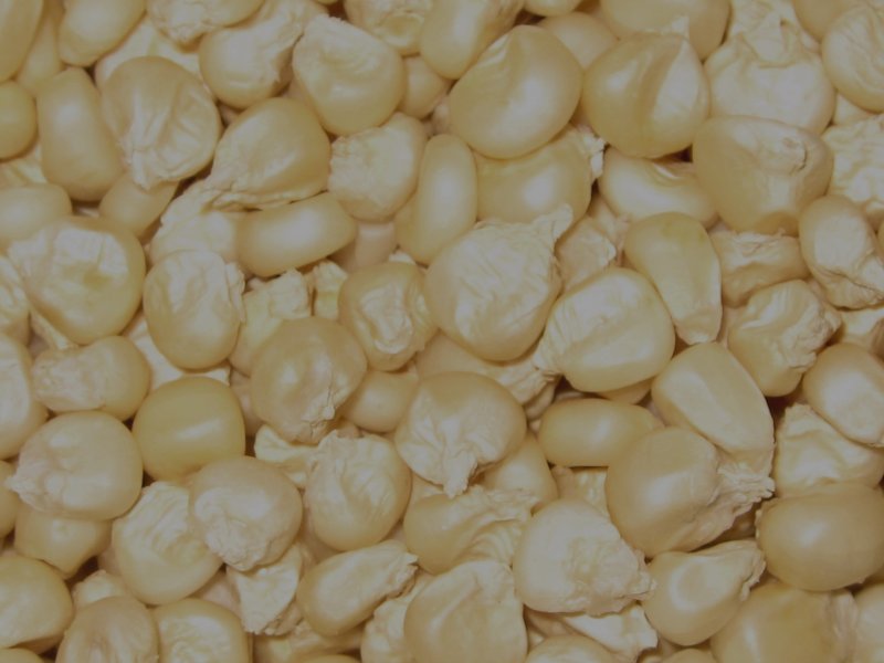new-maize-dried