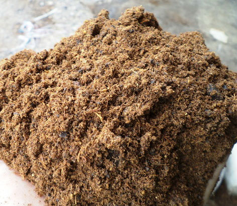 Palm Kernel Cake Per KG