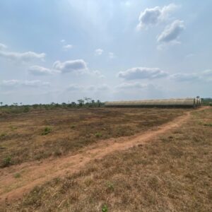 6 Hectares Farm with Greenhouses & Solar Infrastructure