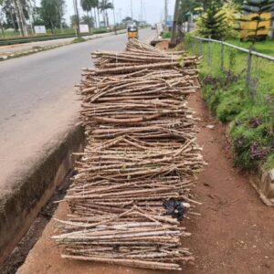Cassava 419 – 30 Sticks per Pack