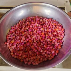 Maize Seeds - Per Kg