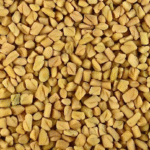 Fenugreek Seeds