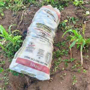 A Bag of Sweet Potatoes