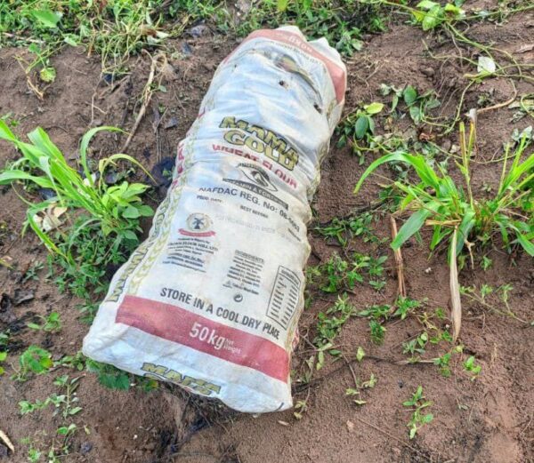 A Bag of Sweet Potatoes