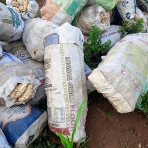 A Bag of Sweet Potatoes