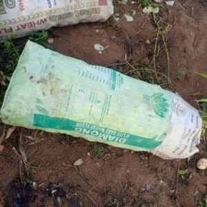 A Bag of Sweet Potatoes