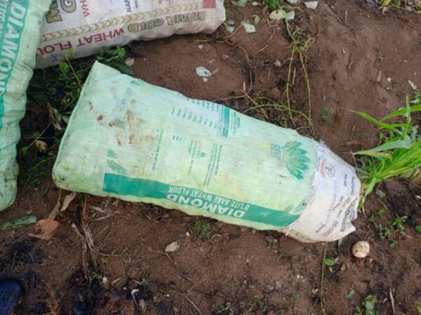 A Bag of Sweet Potatoes