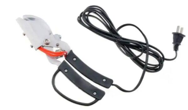 Electronic Handheld Debeaker