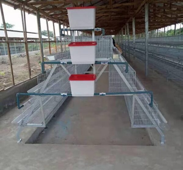 120-Bird Premium Imported Poultry Cage