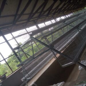 120-Bird Premium Imported Poultry Cage