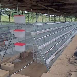 120-Bird Premium Imported Poultry Cage