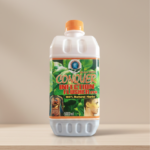 Conquer Infection Flusher: 100% Natural Herbal Cleanse