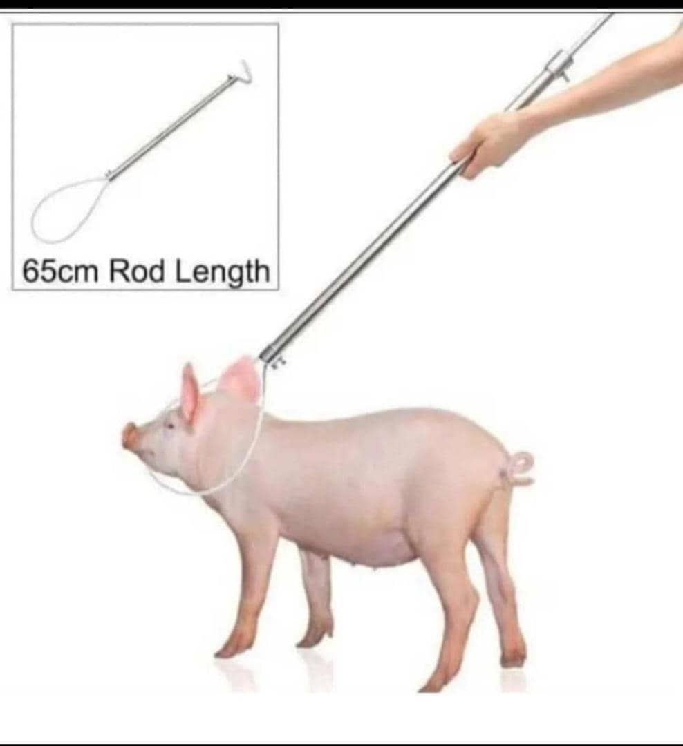 Pig Catcher Tool