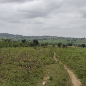 Plot of Farmland at Off Moniya–Iseyin Road, Ibadan