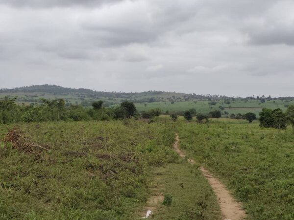 Plot of Farmland at Off Moniya–Iseyin Road, Ibadan