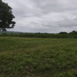 Plot of Farmland at Off Moniya–Iseyin Road, Ibadan
