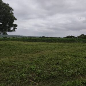 Plot of Farmland at Off Moniya–Iseyin Road, Ibadan