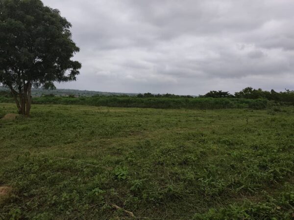 plot-of-farmland-at-off-moniya-iseyin-road-ibadan (4) Plot of Farmland at Off Moniya–Iseyin Road, Ibadan