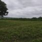 Plot of Farmland at Off Moniya–Iseyin Road, Ibadan