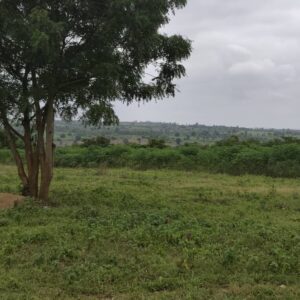 Plot of Farmland at Off Moniya–Iseyin Road, Ibadan