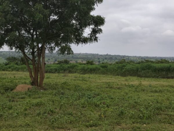 Plot of Farmland at Off Moniya–Iseyin Road, Ibadan