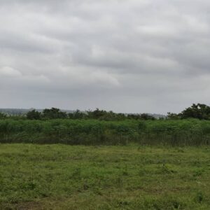 Plot of Farmland at Off Moniya–Iseyin Road, Ibadan