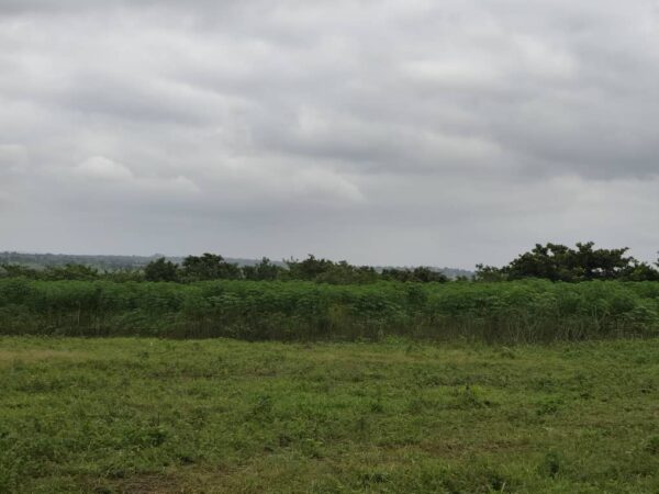 Plot of Farmland at Off Moniya–Iseyin Road, Ibadan